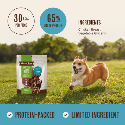 Waggin' Train Chicken Jerky Curls Dog Treats, Made with 100% Real Chicken Breasts, Two All-Natural Ingredients, High Protein Dog Treat, Easily Digestible for Big or Small Dogs