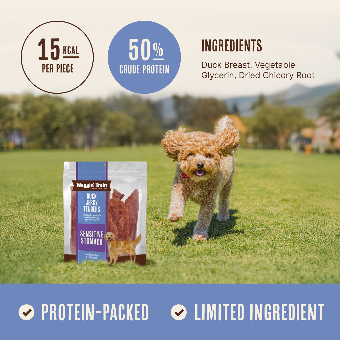 Duck Jerky Tenders
