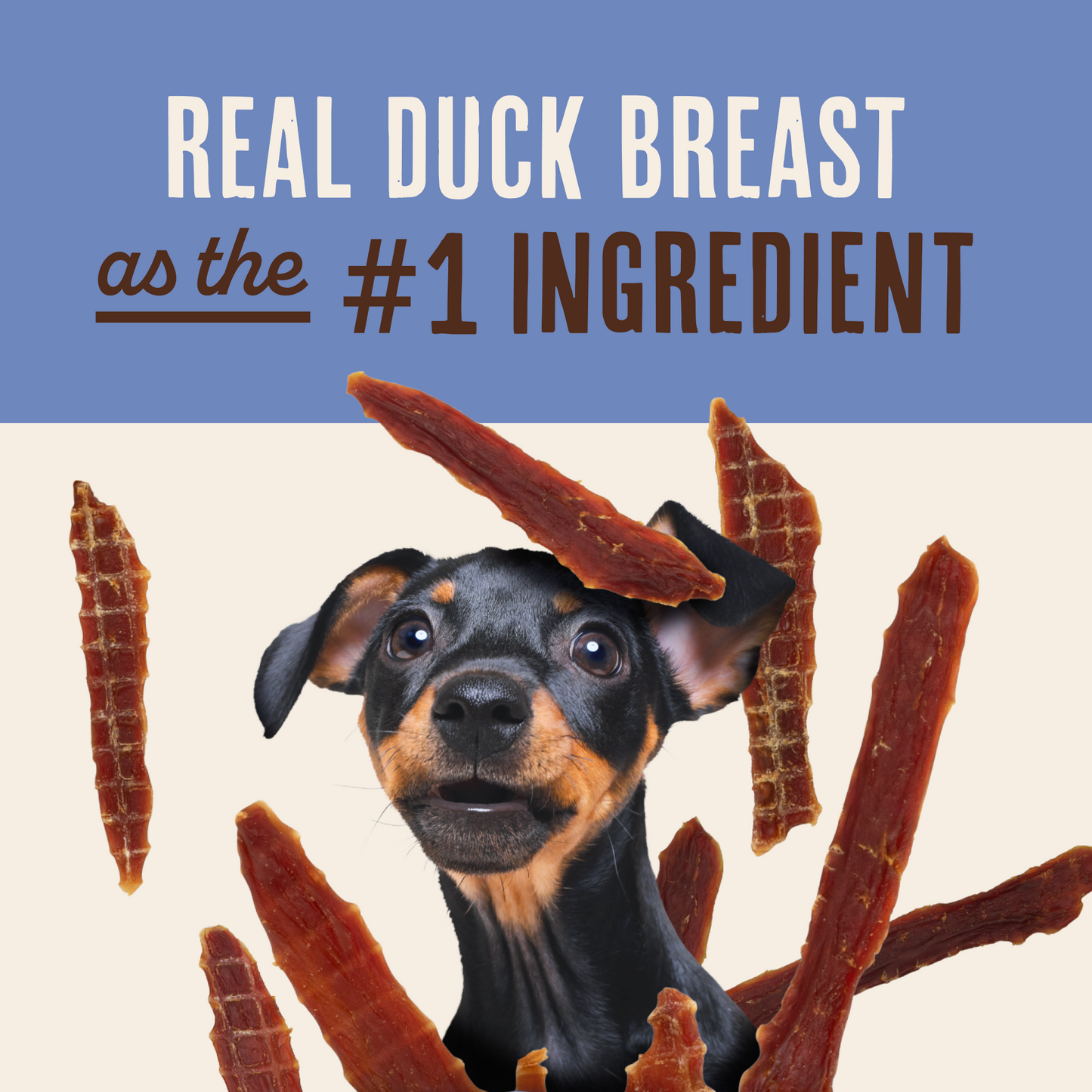 Duck Jerky Tenders