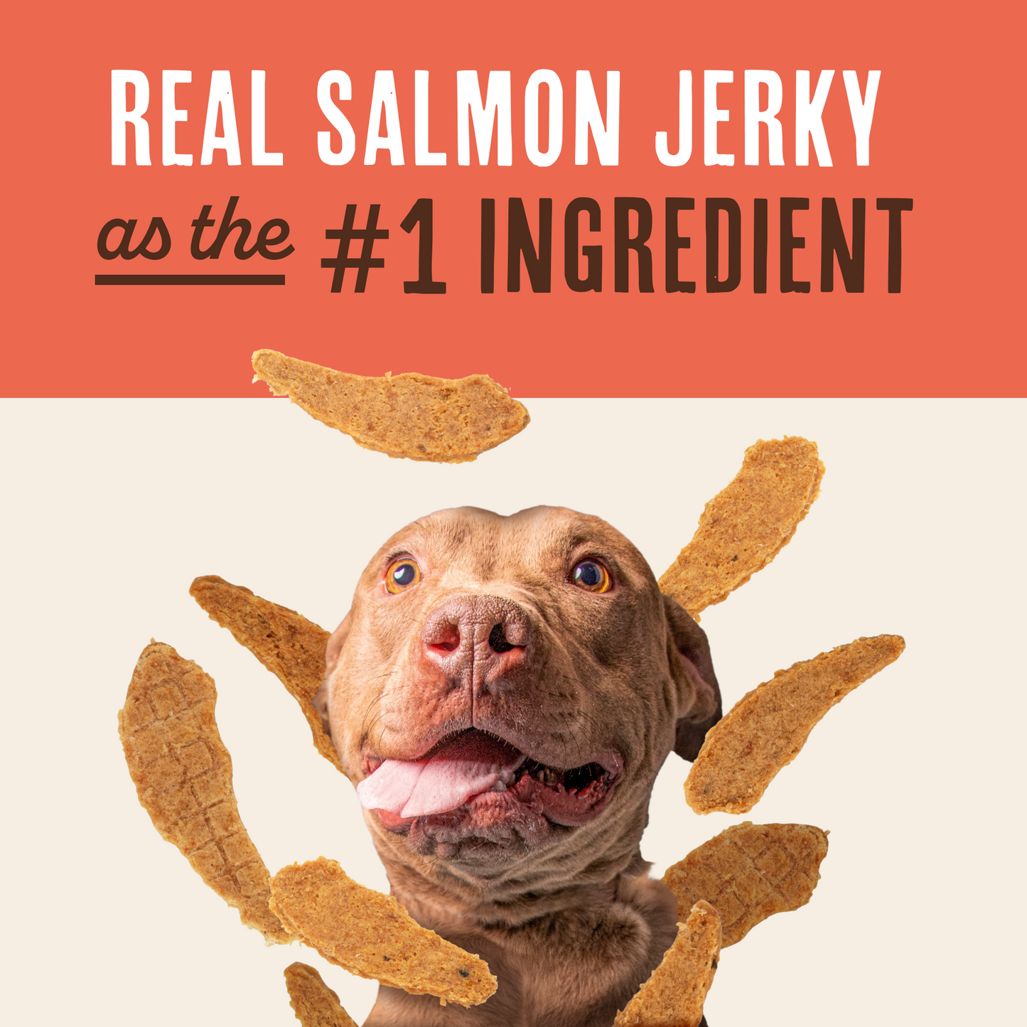 Salmon Jerky Tenders
