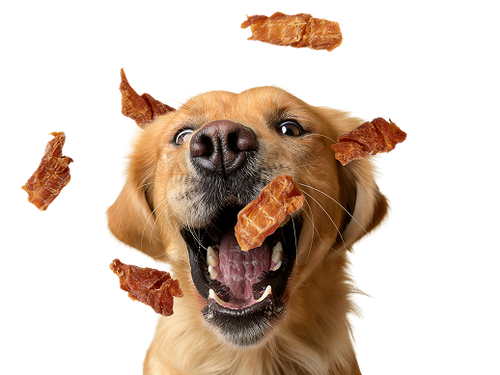 Waggin' Train Treats